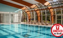 SPA RESORT SANSSOUCI - Karlovy Vary - Hotelový bazén