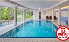 Spa & Wellness Hotel OLYMPIA - Mariánské Lázně - Hotelový bazén