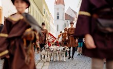 ZNOJEMSKÉ HISTORICKÉ VINOBRANÍ - hotel U DIVADLA