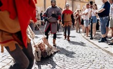 ZNOJEMSKÉ HISTORICKÉ VINOBRANÍ - hotel U DIVADLA