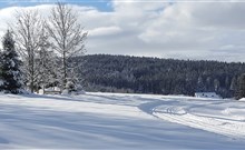 WIESHOF - Sankt Oswald-Riedlhütte