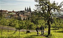 BOOKQUET - Praha 1 - Staré Město - zdroj fotografie ©Prague City Tourism